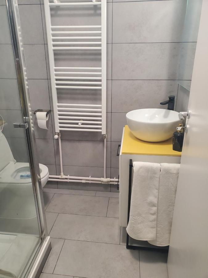Basarab 1 Apartman Brassó Kültér fotó